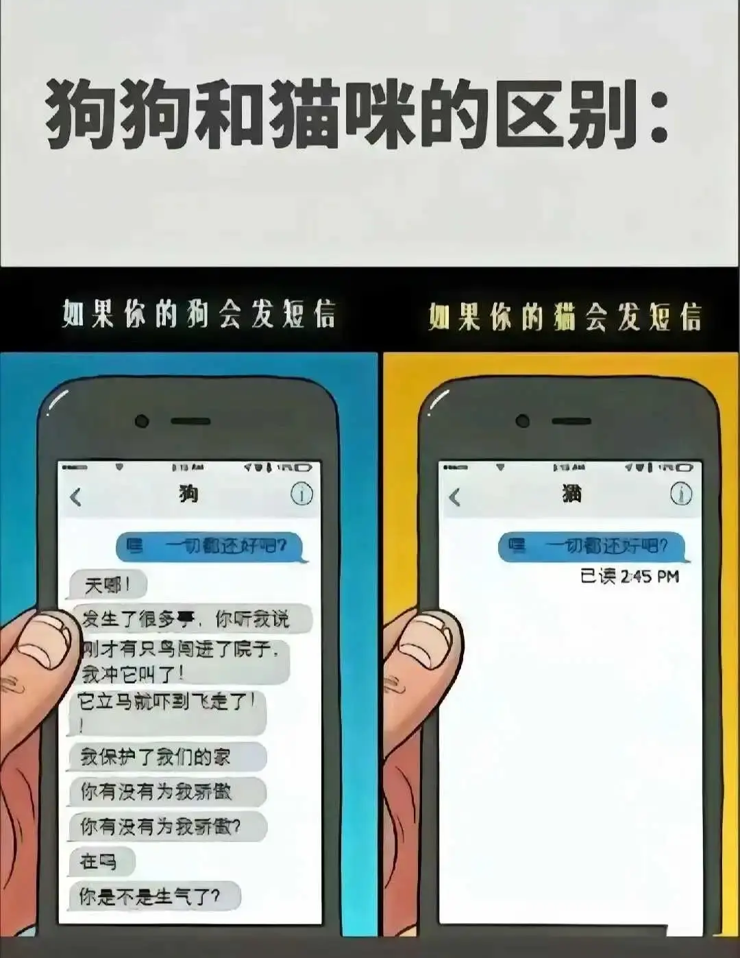 西檬之家-BDSM入门指南：从新人心态到角色理解