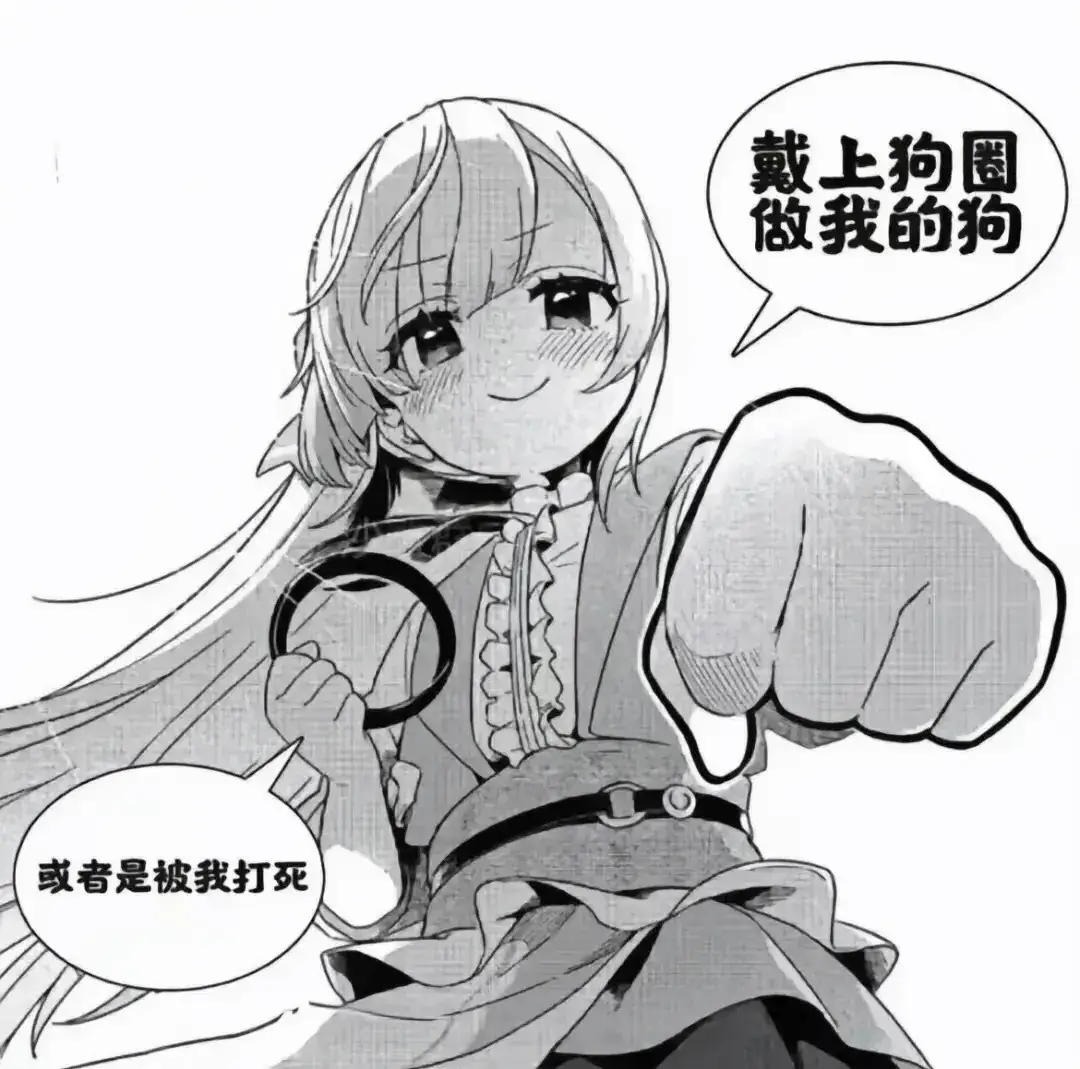 S倾向 - 2025-11-13 235937