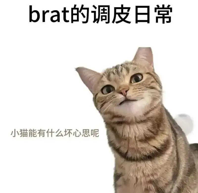 西檬之家-TK是什么？字母圈中的挠痒痒互动全解析