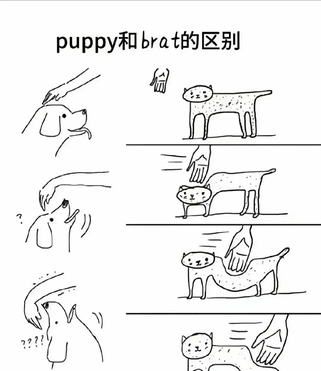 字母圈入圈 - 微信图片_2025-11-13_180940_765