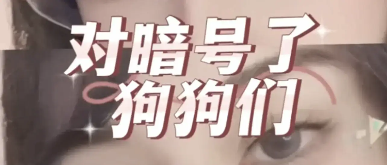 西檬之家-Sub是什么？字母圈新人入圈指南