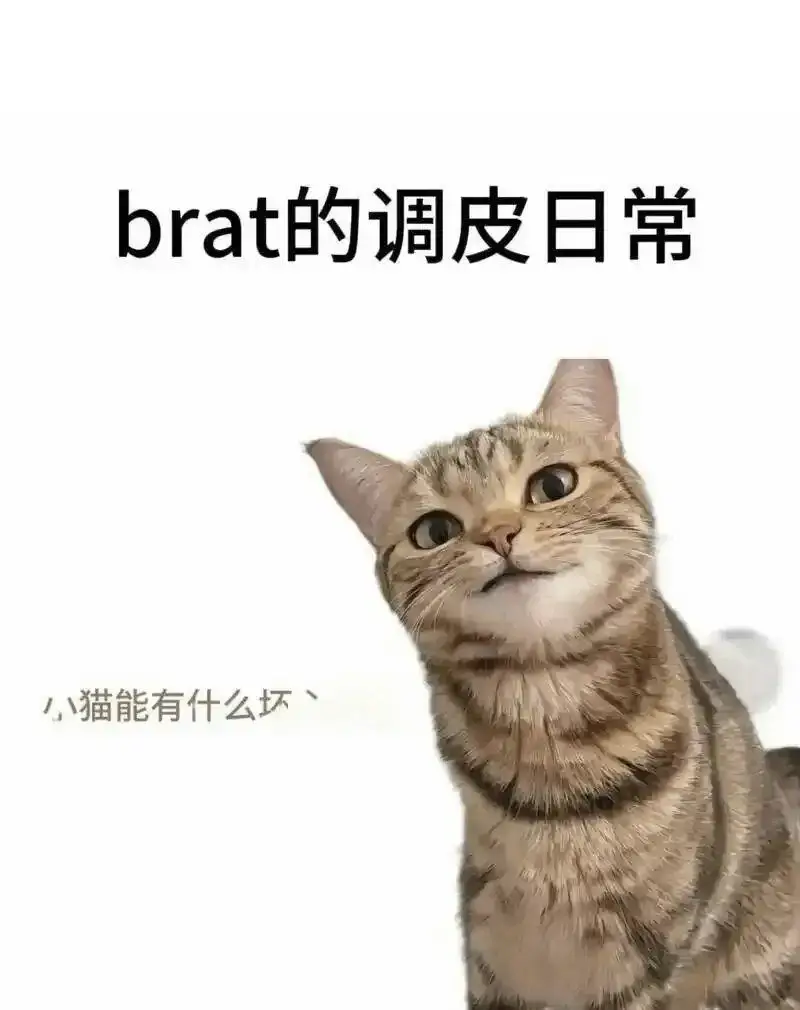k8是什么？西檬之家-字母圈K8与K9区别解析